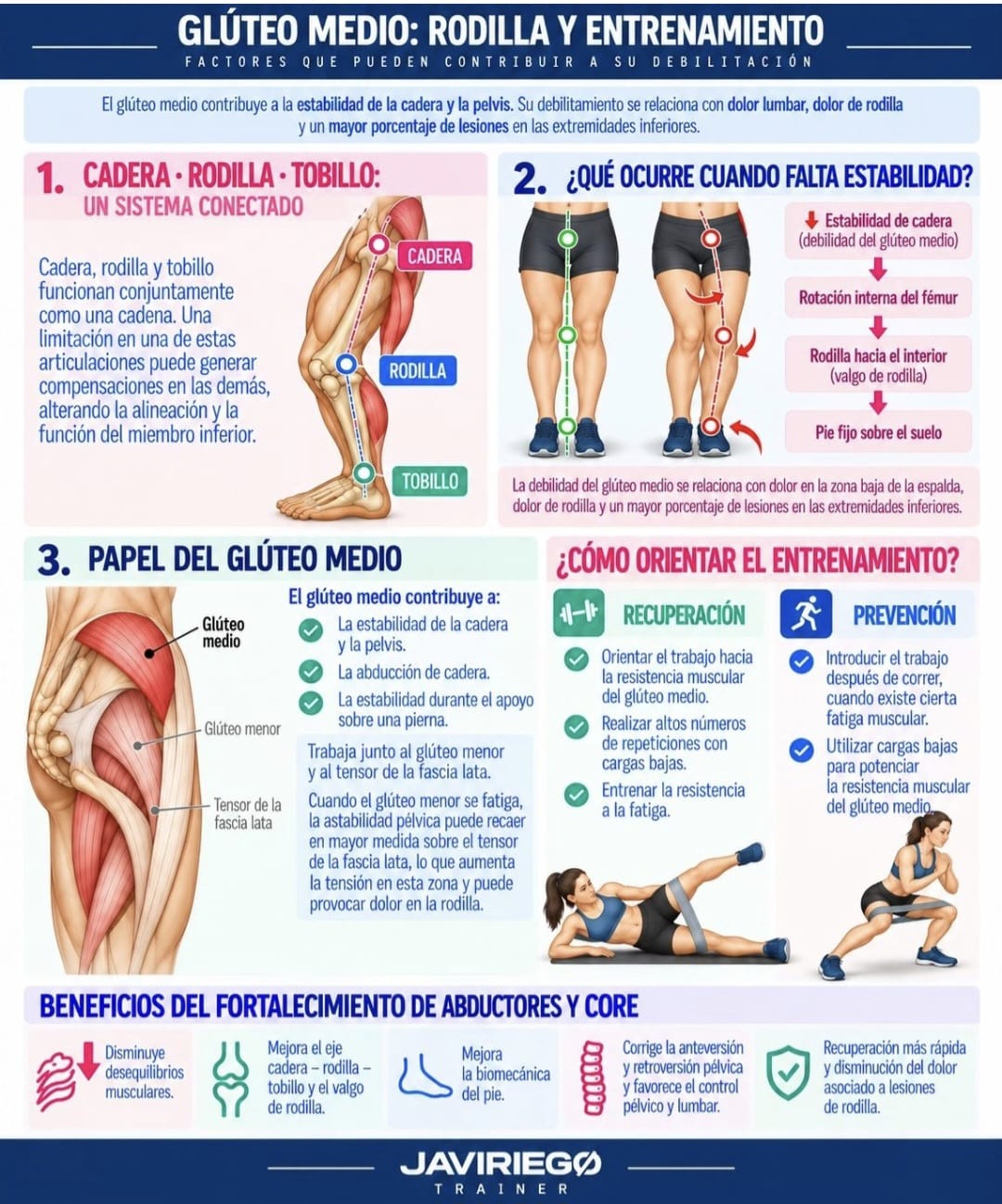Infografía de Javier Riego Trainer. Fuente: LinkedIn